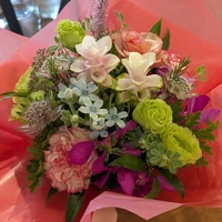 画像252